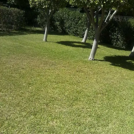 Apartamento En Calle Ciruelo * Almeria